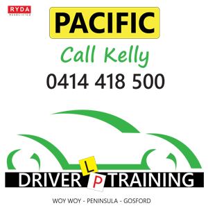 download pacific driver game download pacific driver game