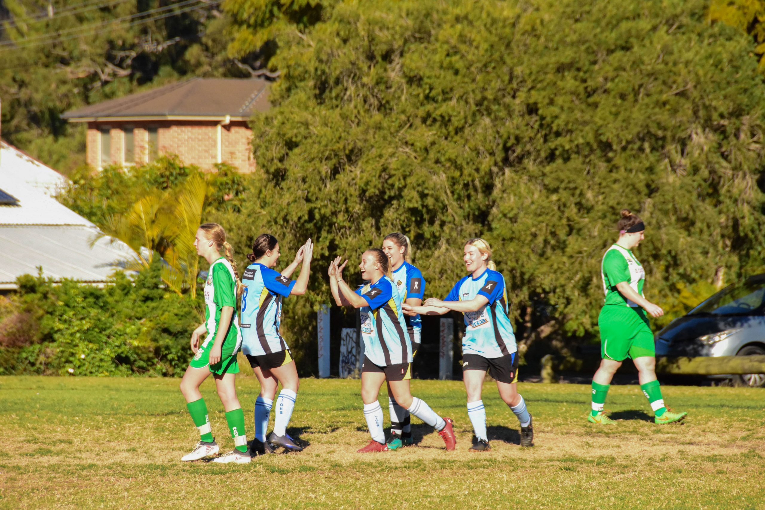 southern ettalong ladies program 2019